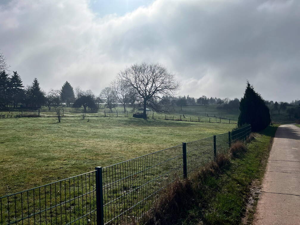 24-02-28 12-16-58 8775